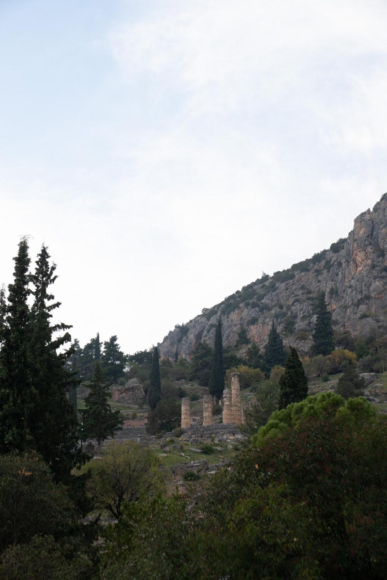 Delphian Colors - Green Edition Εξωτερικό φωτογραφία